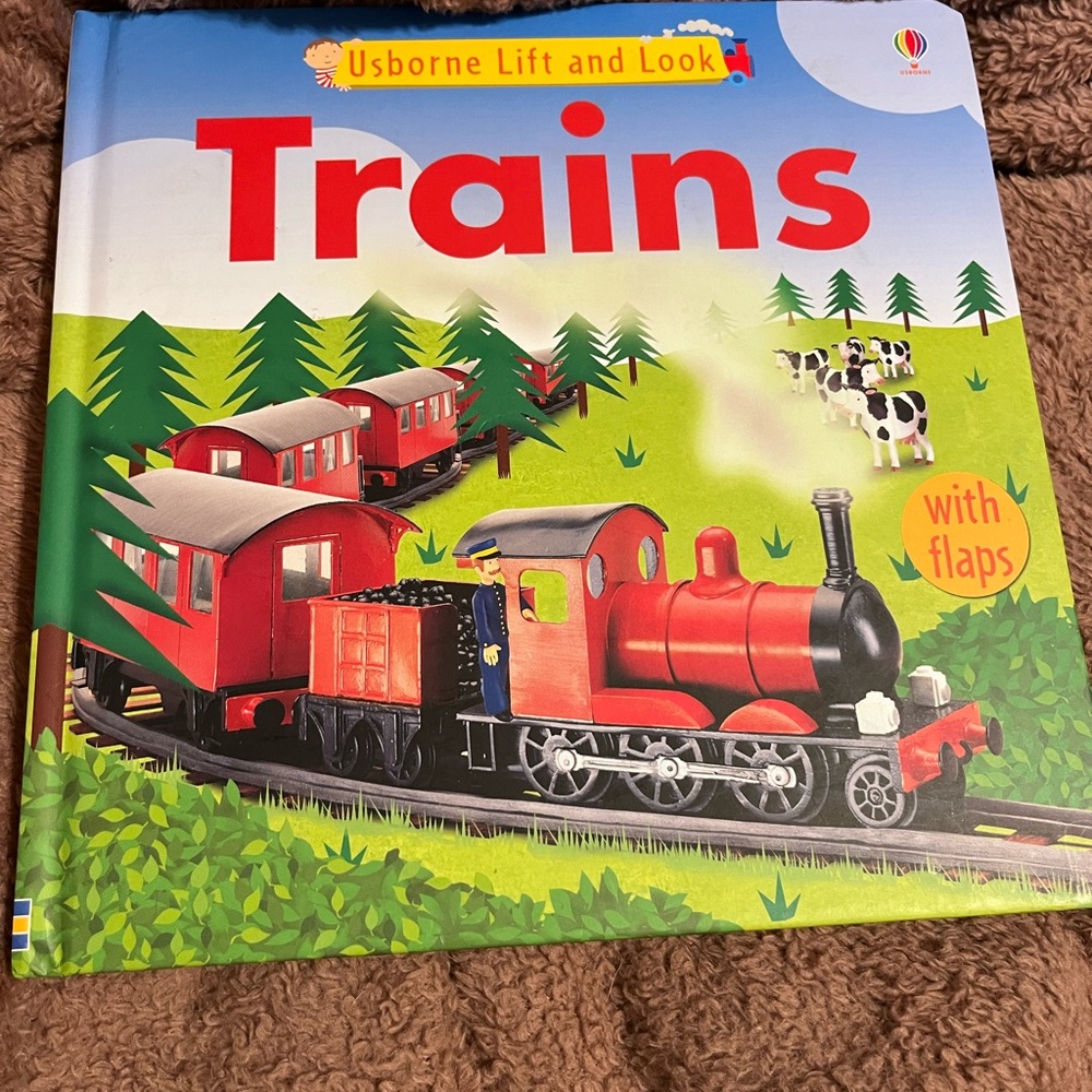 EUC Usborne Lift and Look Trains Book